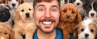 Mr Beast REscues 100 Dogs from Shelter