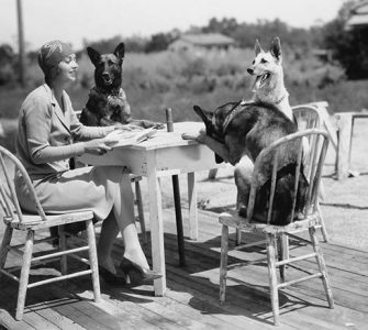 Top_Dog_Friendly_Restaurant_Chains