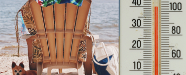 Summer Heat Pet Safety Tips