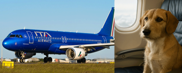 Italy to Give Dogs a Seat on Airline Flights!