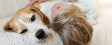 February is Responsible Pet Ownership Month