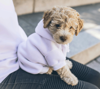 May 9th is National Dog Moms Day!